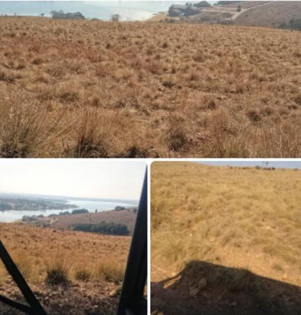 1 ha Land