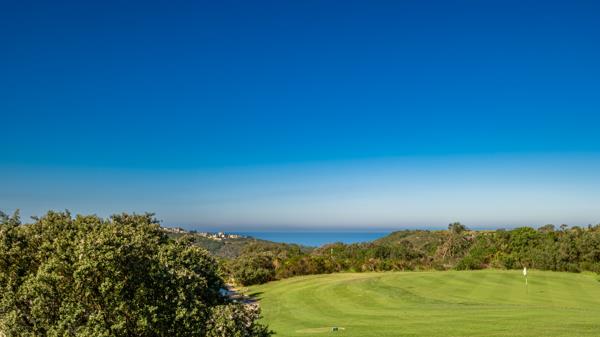 1 109 m² Land