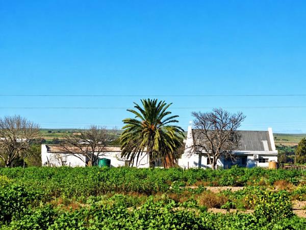 1.7 ha Smallholding