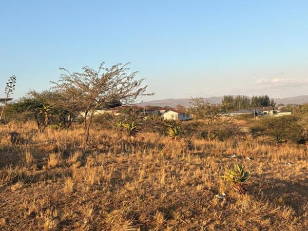 1 919 m² Land