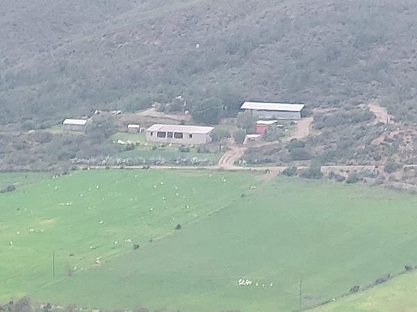 202 ha Farm