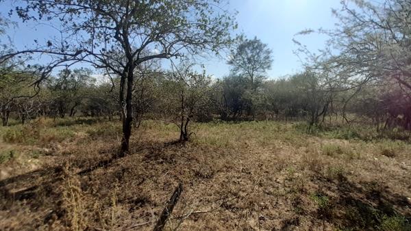 1 687 m² Land