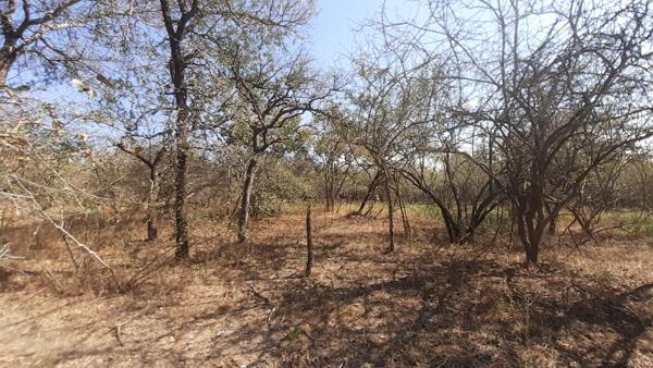1 700 m² Land
