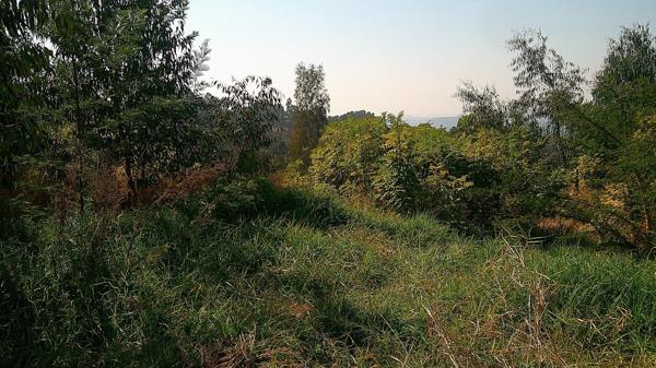 1 571 m² Land