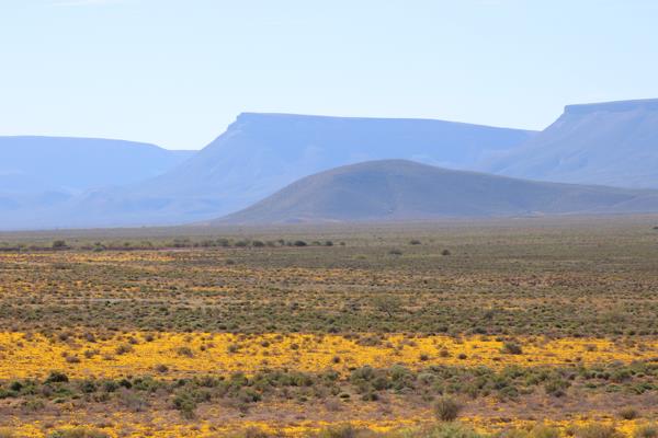 4 237 ha Farm