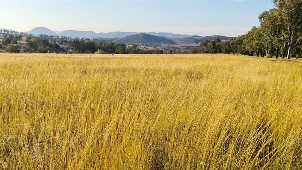 7 069 m² Land