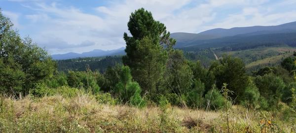 699 m² Land