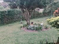 3 914 m² Land