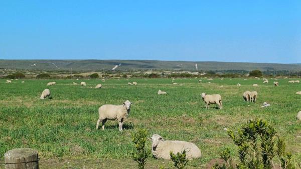 90 ha Farm
