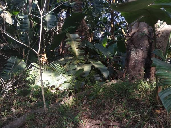 2 196 m² Land