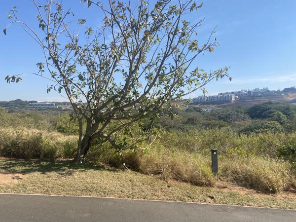 1 288 m² Land
