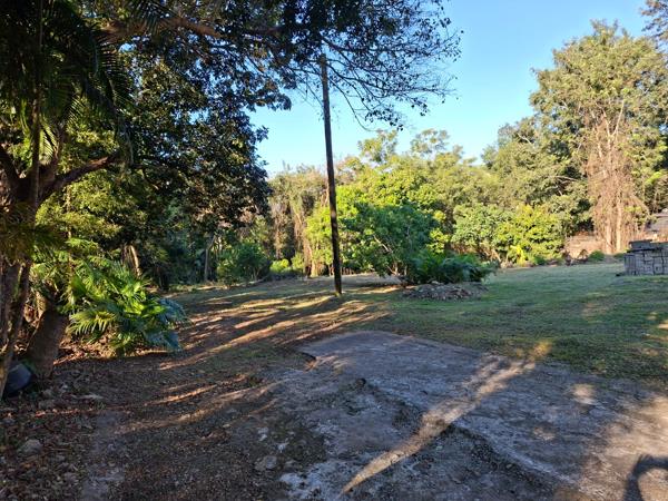 556 m² Land