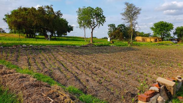 14 ha Farm