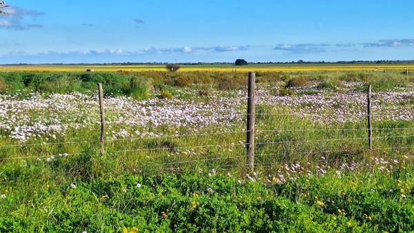 1 487 m² Land