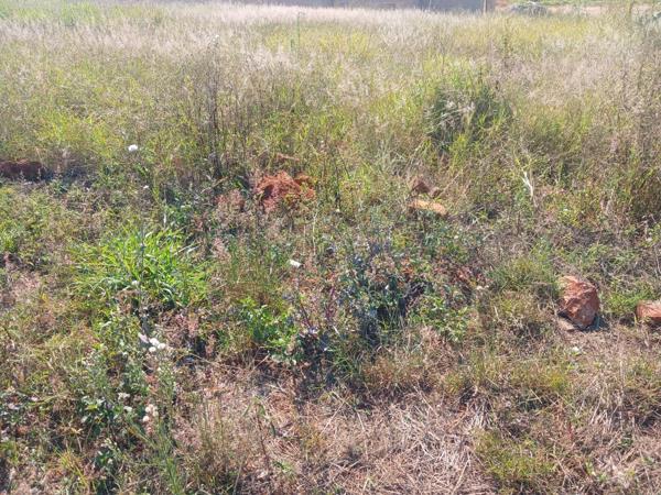 598 m² Land