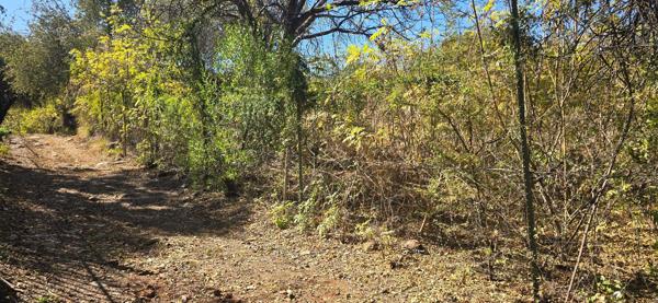 1.3 ha Land