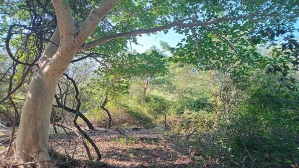2 243 m² Land