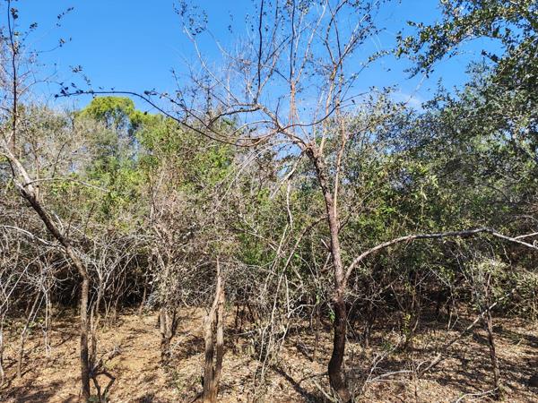 1 917 m² Land