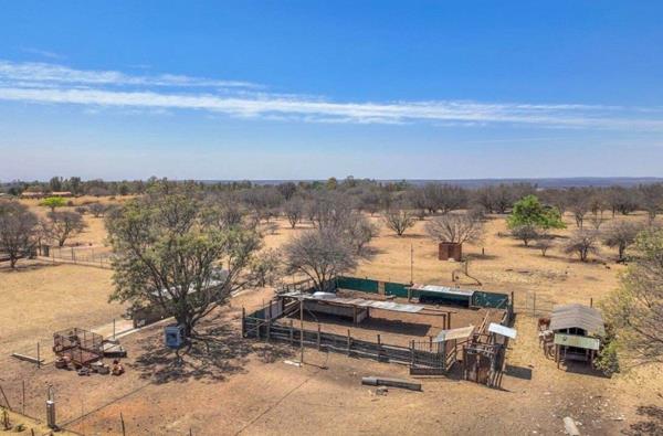 9.1 ha Smallholding