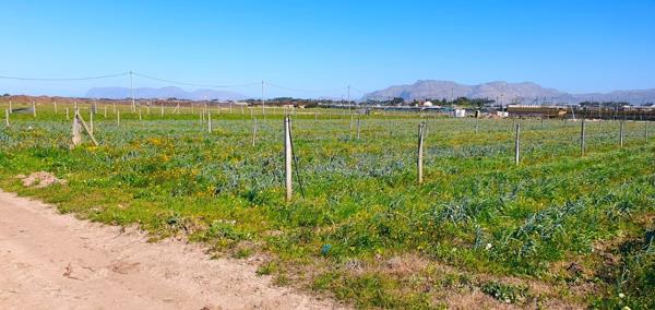4.4 ha Farm