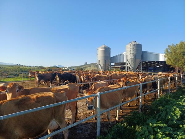 683 ha Farm