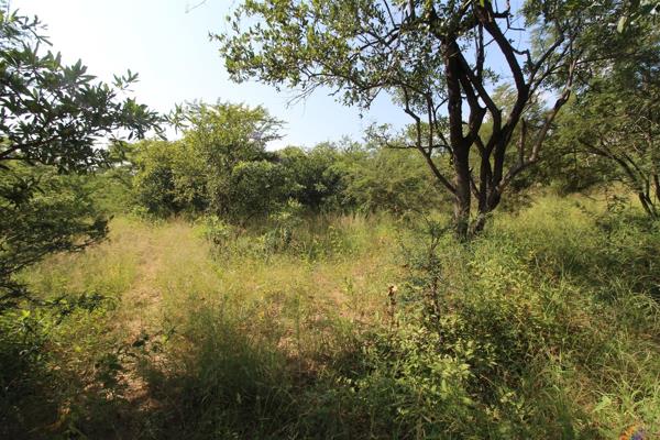 1 ha Land