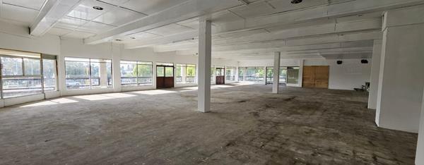501 m² Retail Space