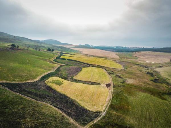 475 ha Farm