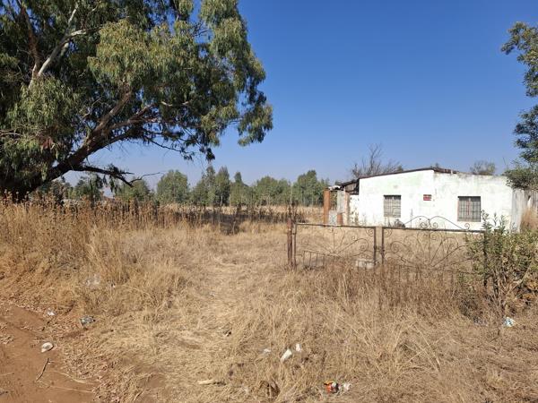 1.6 ha Smallholding
