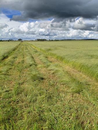 150 ha Farm
