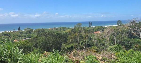 2 917 m² Land