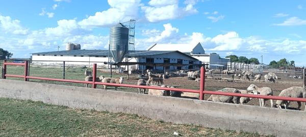 182 ha Farm
