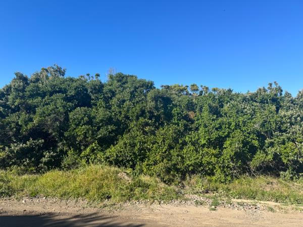 1 039 m² Land