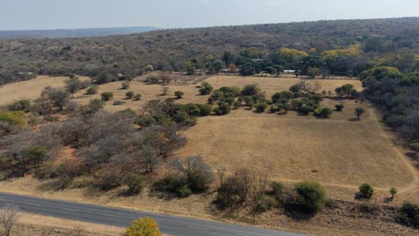 40 ha Farm