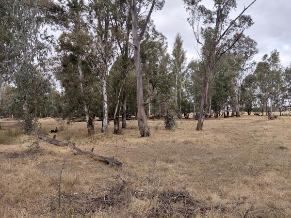 4 047 m² Land