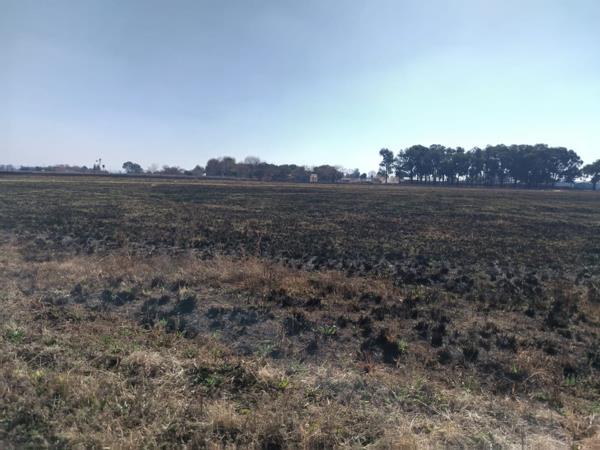 2 ha Land