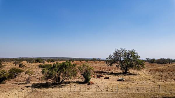 42 ha Farm