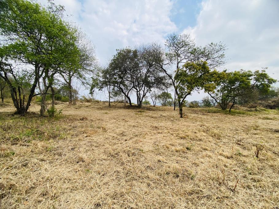 1 357 m² Land