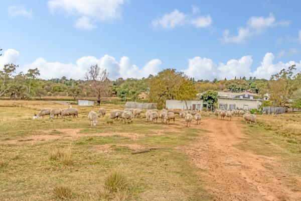 22 ha Farm