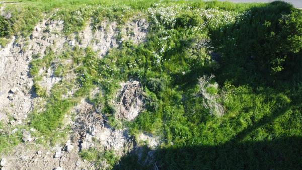 1 033 m² Land