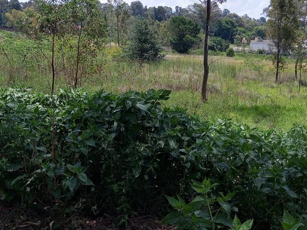 176 m² Land