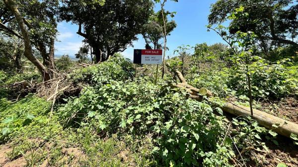 2 372 m² Land