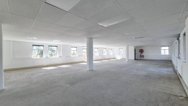 317 m² Commercial space