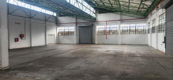 780 m² Industrial space