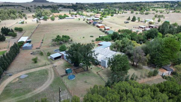 1.9 ha Smallholding