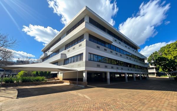 1 036 m² Office Space