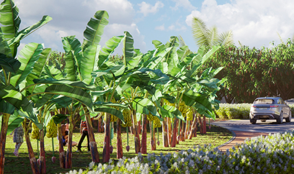 1 055 m² Land