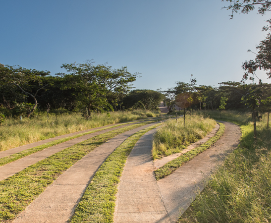 1 000 m² Land