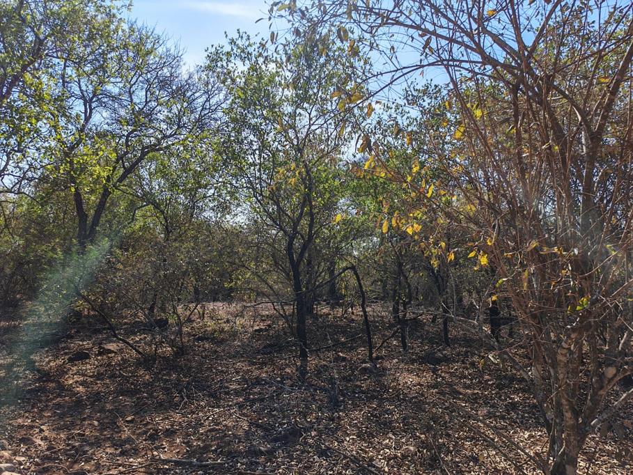 2 202 m² Land