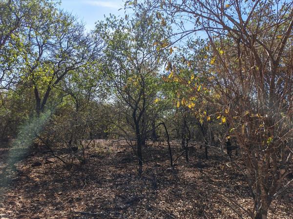 2 202 m² Land